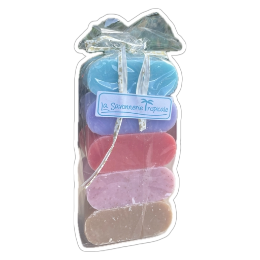 Savon artisanal – Lot de 5 savons 50 g : Lavande, Oudh, Océan, Passion, Monoï Exfoliant